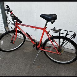 Mt Shasta Saddleback