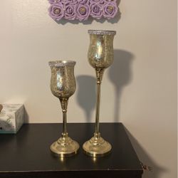 Nanette Lepore Champagne Glass Vases Decor 