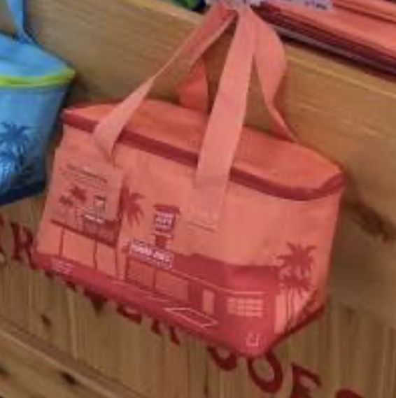 TRADE Trader Joe’s Mini Insulated Lunch Tote Bag Salmon Orange Coral For Purple