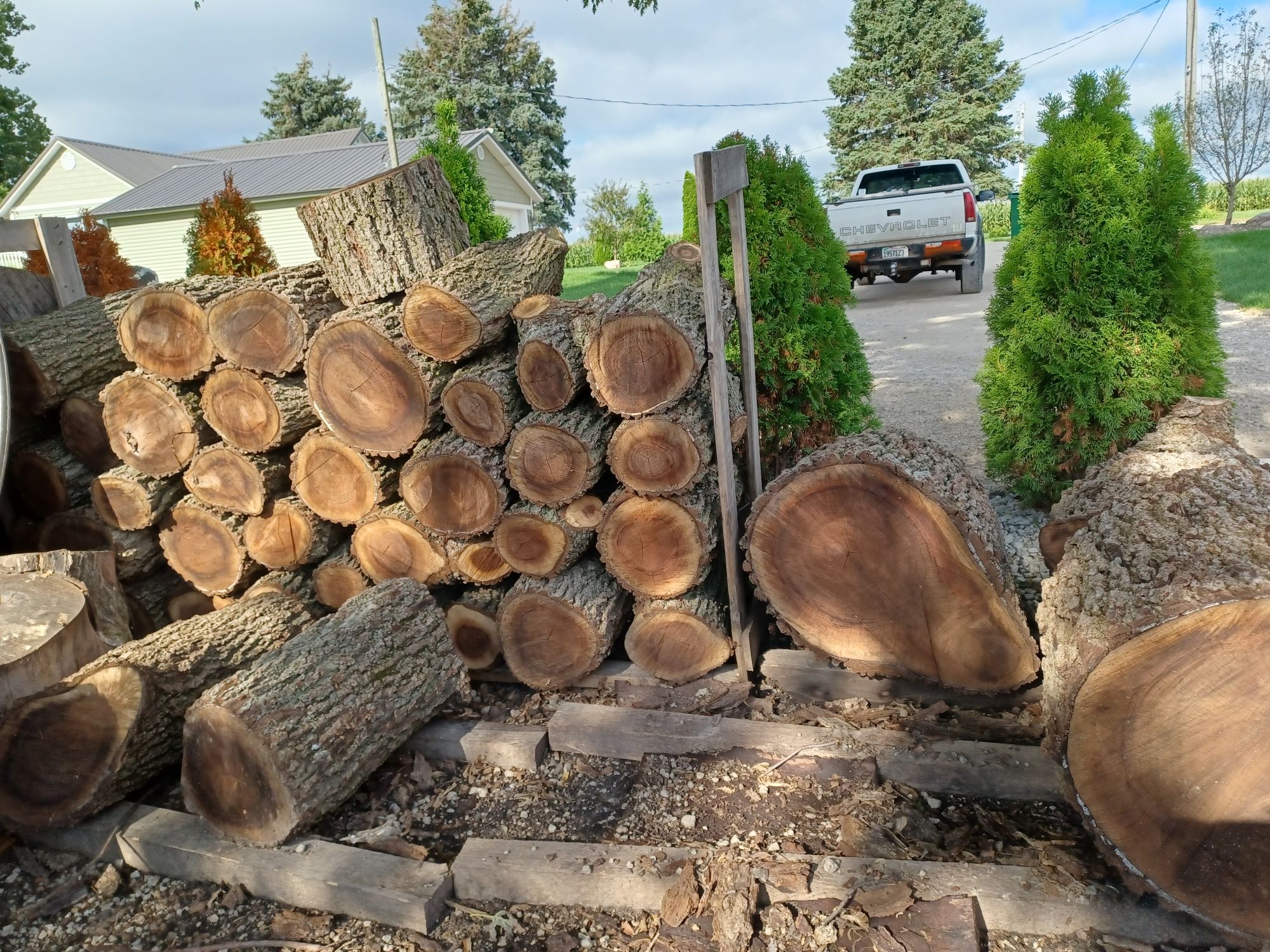 Firewood