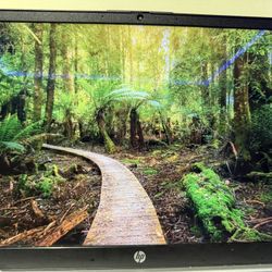 Windows Hp 13th Gen Laptop