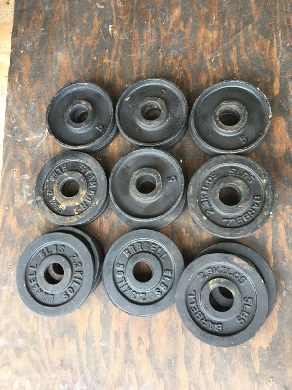 (25) 5 lbs. Steel Change Plates