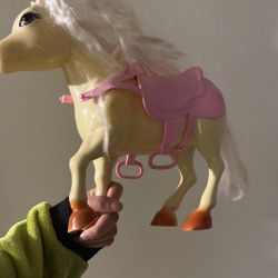 Pony 