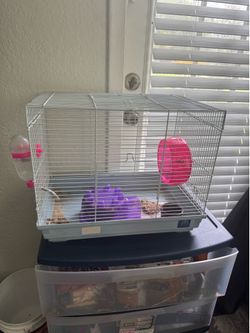 Hamster cage