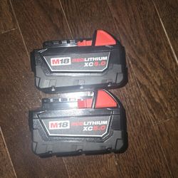 
Milwaukee
M18 18-Volt Lithium-Ion XC Extended Capacity 5.0 Ah Battery Pack (2-Pack)
