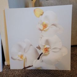 Set Of 3 Orchid Art