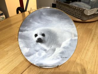 Vintage 1991 Harp Seal Collector Plate – “Nature’s Lovables” by Charles Fracé – U.S. George Fine China