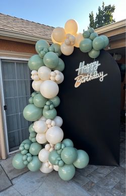 Balloons/Backdrop