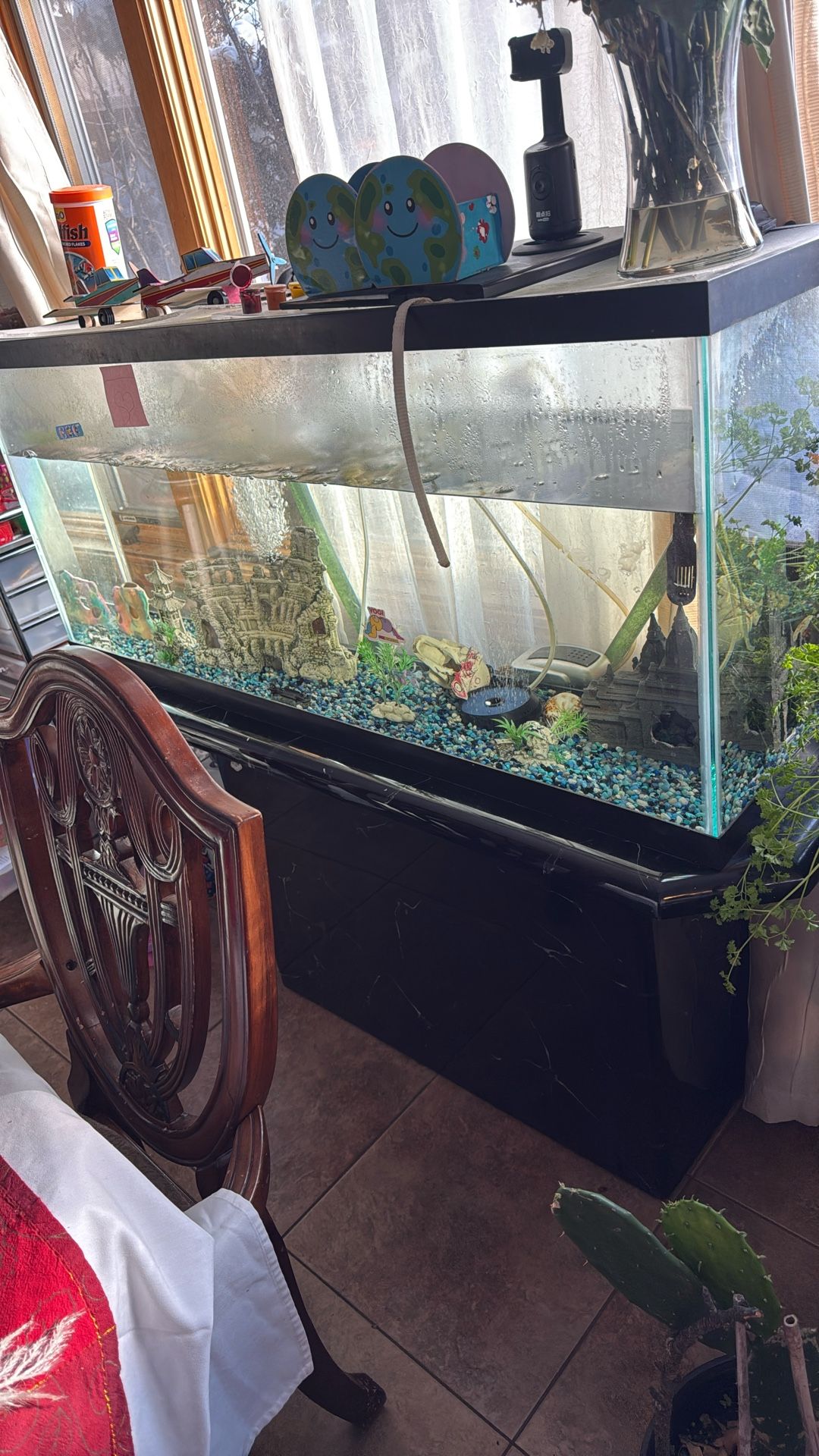 Big Fish Tank Everything Included With Cleaning System