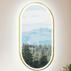 Bonie 20 in. W x 36 in. H Oval Framed LED Light and Backlit Wall Mount Bathroom Vanity Mirror in Brushed Gold