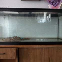 Large Fish Tank W/stand