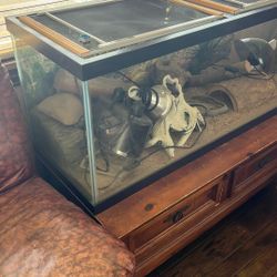 70 Gallon Lizard/Fish Tank 