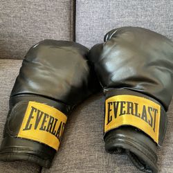 Everlast 14oz Boxing Gloves 