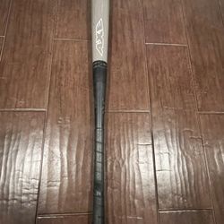 Baseball Bat