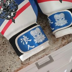 Muay Thai Leather Boxing Gloves