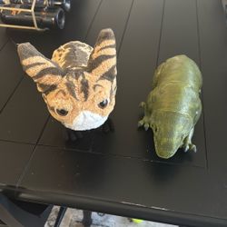 Star Wars Creatures From Disneyland