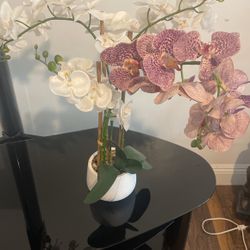 Beautiful artificial House Plant 