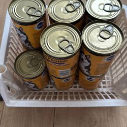 Wet Food For Dogs