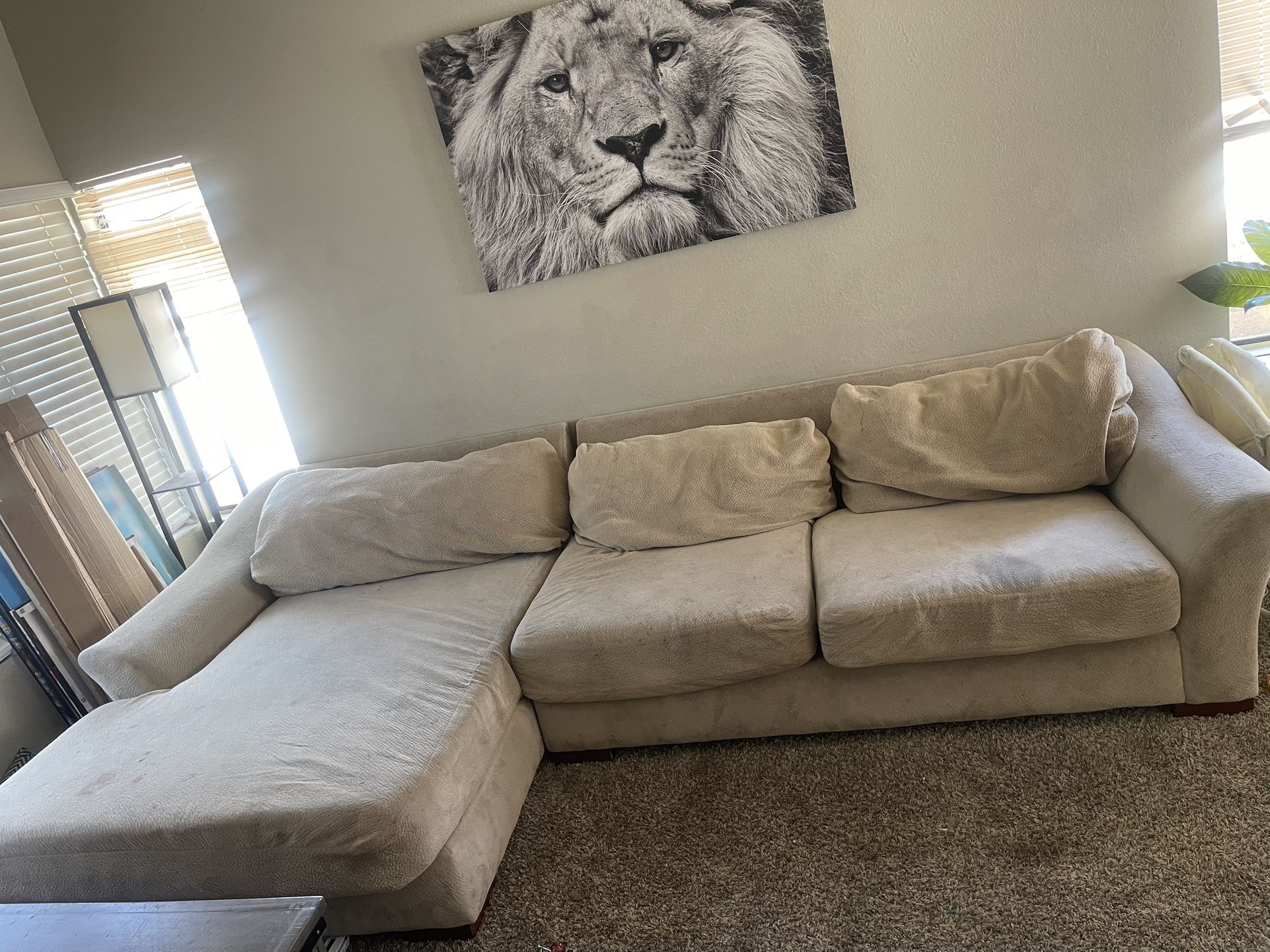FREE Couch