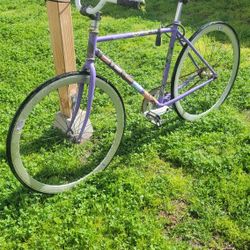 Fixie Bikes