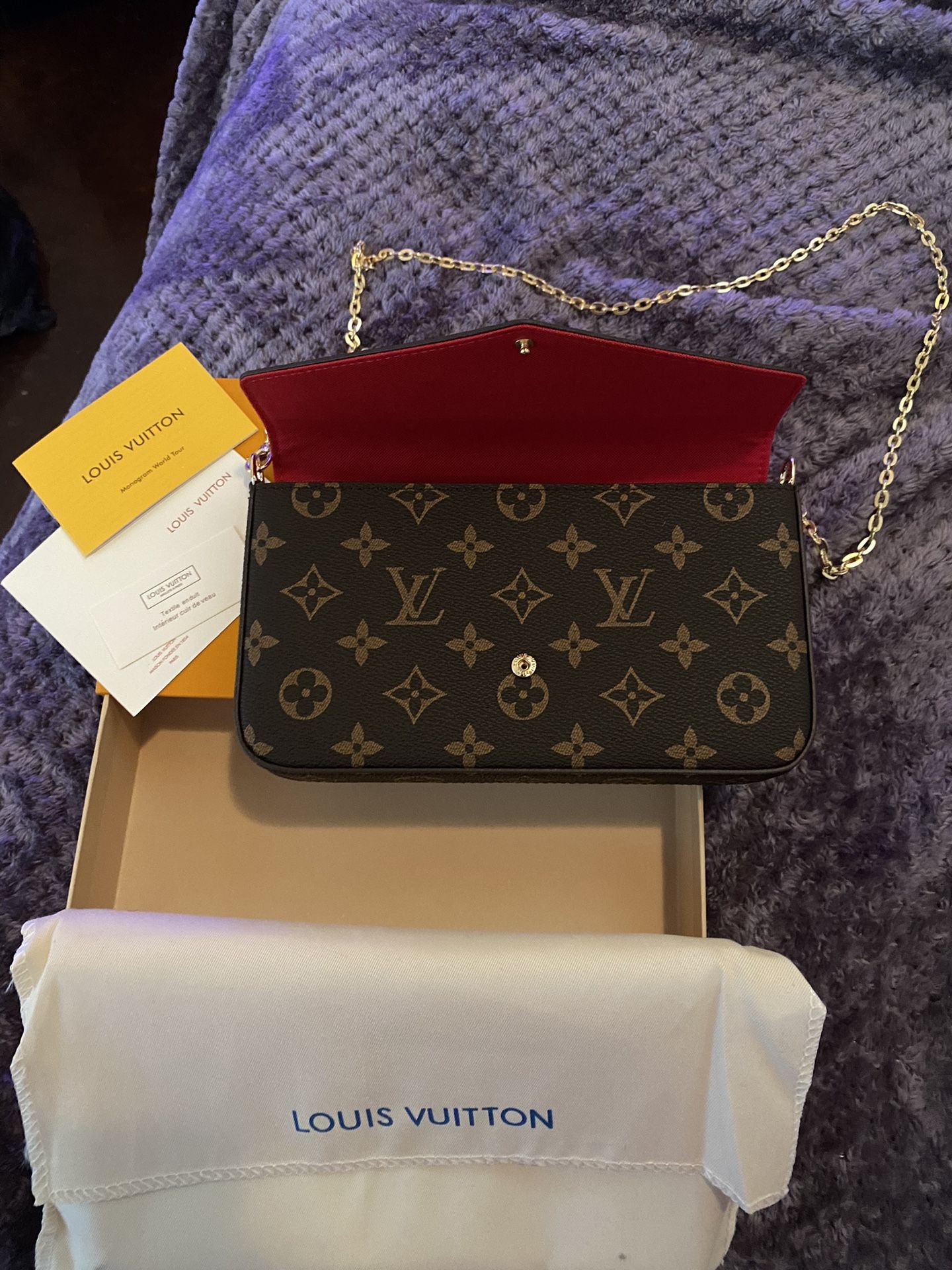 Louis Vuitton (Félicie Pochette)