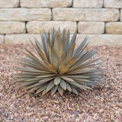 Desert Steel's Metal Yucca Plant Medium: 13"W x 10"H 