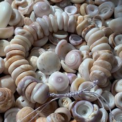 Kauai Puka Shell handlade adjudtable water friendly bracelet for healing and good beach vibes