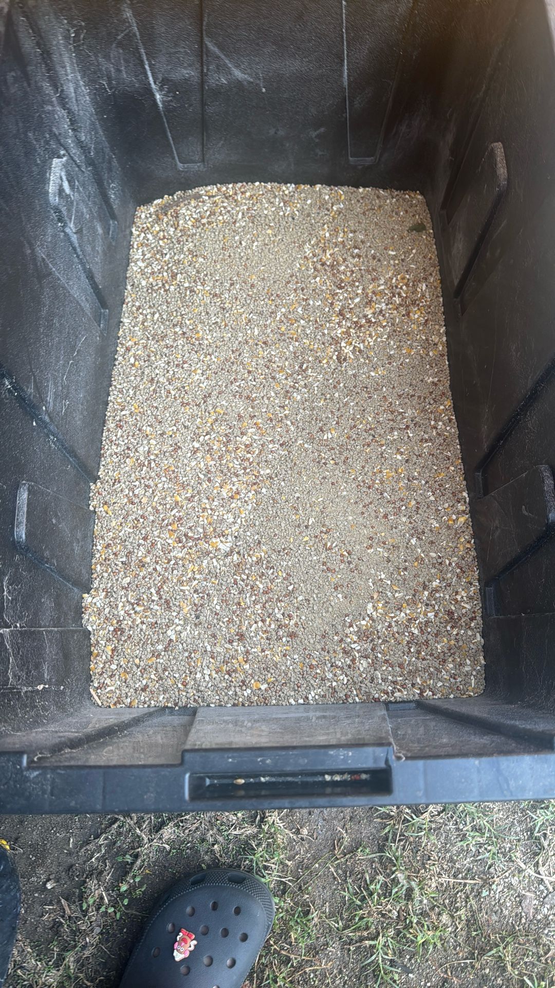 Alimento Para Gallinas Gratis