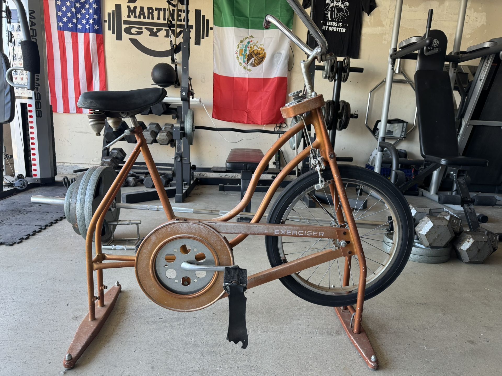 Schwinn Exerciser