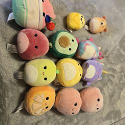 Squishmallow Small Stuffies!