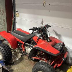 Yamaha Warrior
