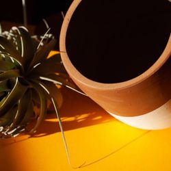 Beautiful Terra Cotta Pot With Airplant. 
