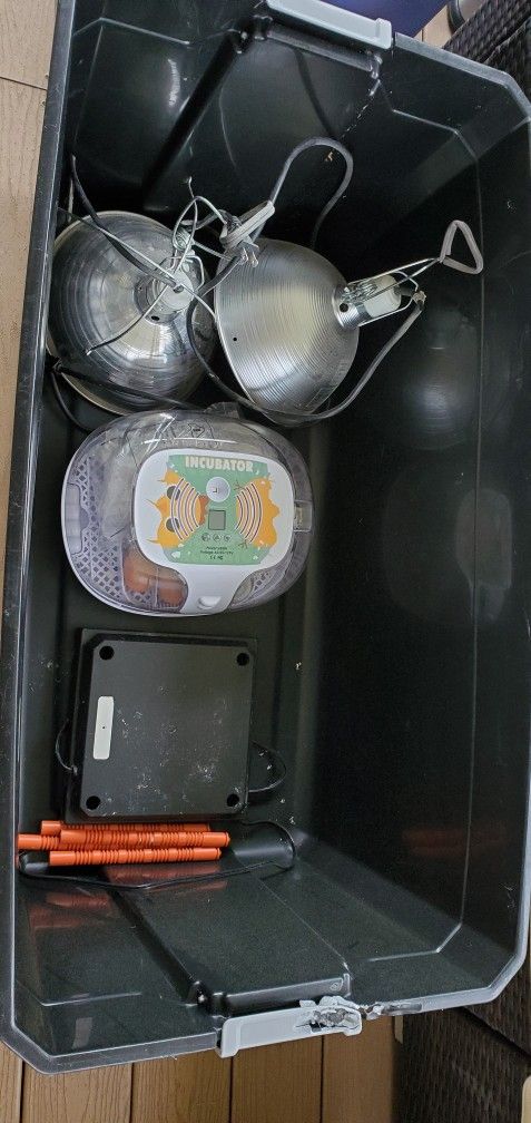 Chicken Incubator And Grow Kit