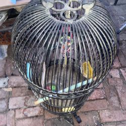 Heavy Bird Cage Needs Cleaning 