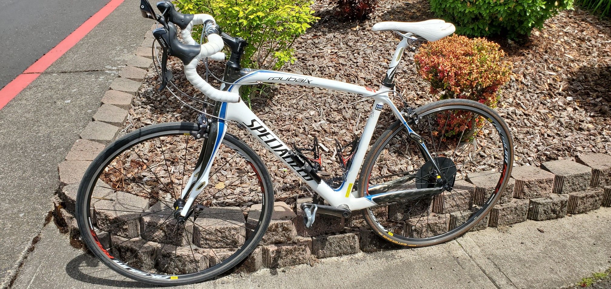 specialized roubaix saxo bank edition