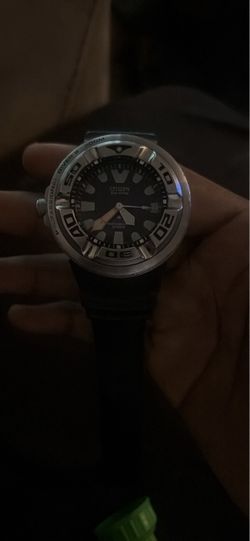 Citizen Eco-Drive Professional Diver's Watch