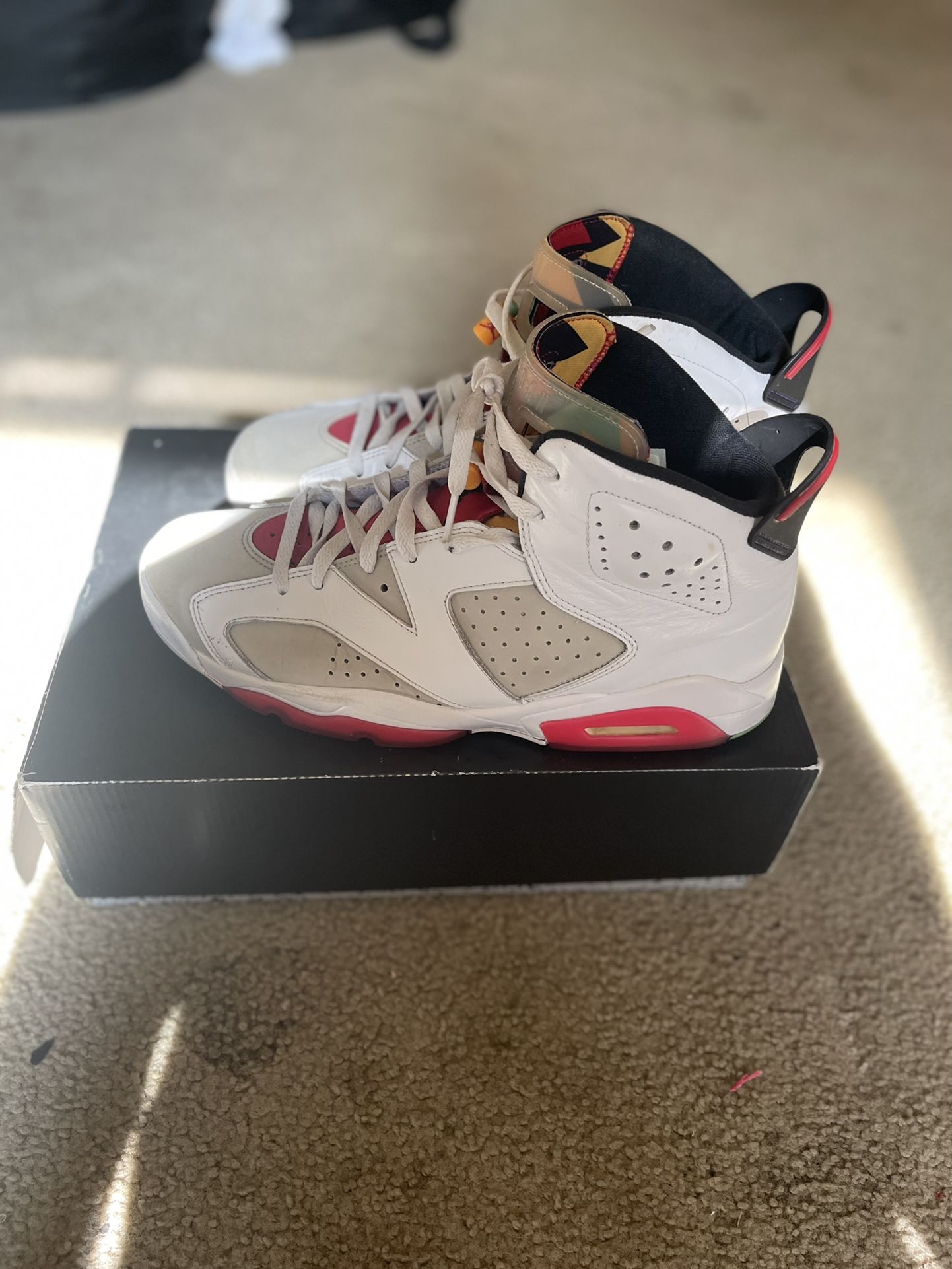 Air Jordan “6” Retro Hares 