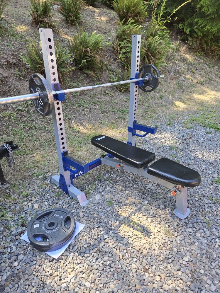 Pro Series Bench Press