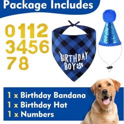 Dog birthday party supplies 