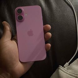 iPhone 16 Plus