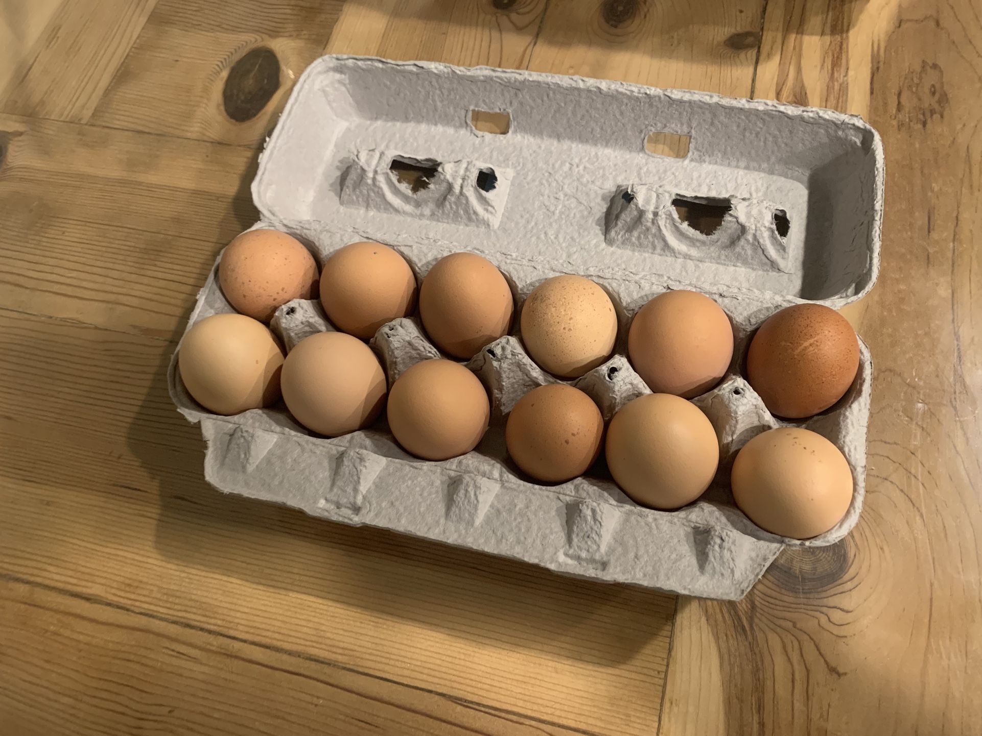 1 Dozen Fresh Eggs