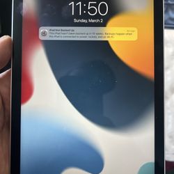 iPad Mini 6th Gen