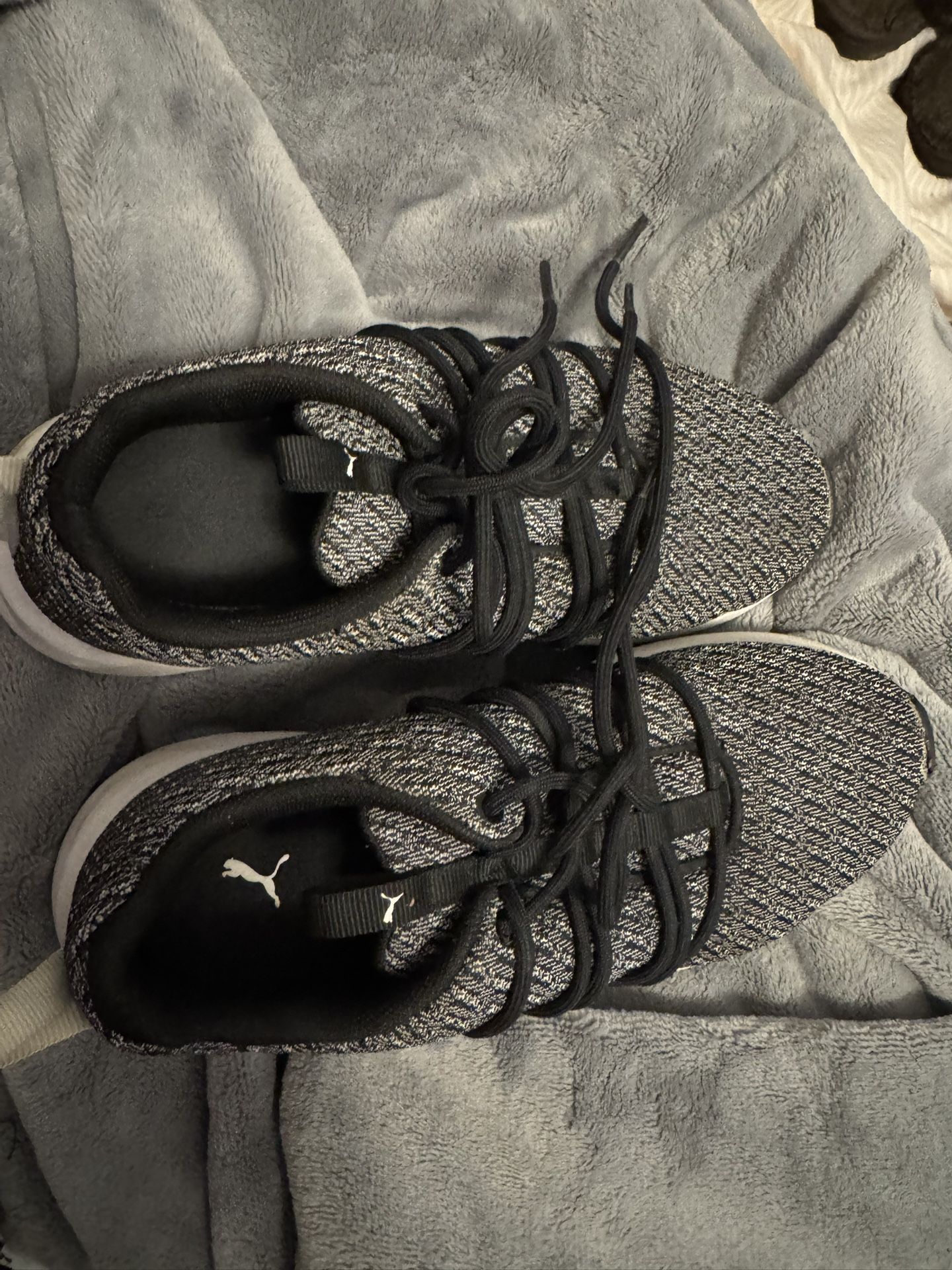 brand new gray puma shoes size 6