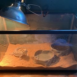 Tank