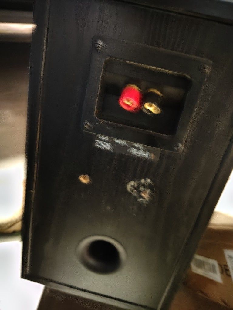 Infinity RS2 Speakers