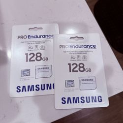 Samsung Pro Endurance