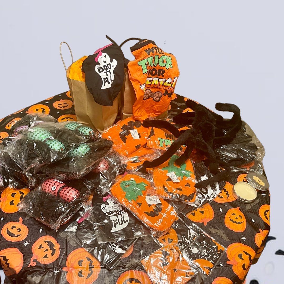 Halloween Dog Clothes