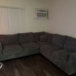 Sectional Grey Couch