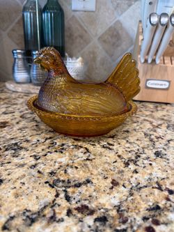 Hen on nest