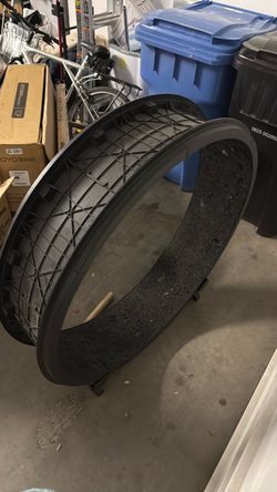 One fast cat wheel